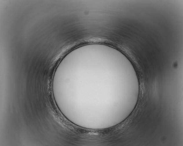 X0000116280159200911301048