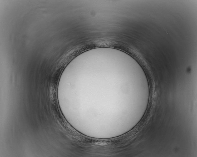 X0000116280161200911301048