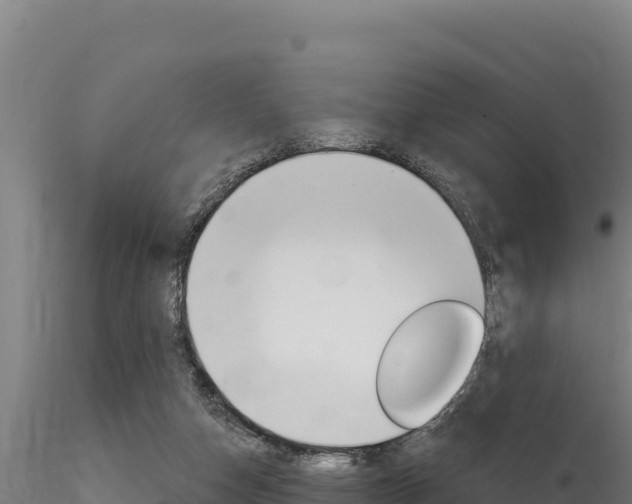 X0000116280162200911301048