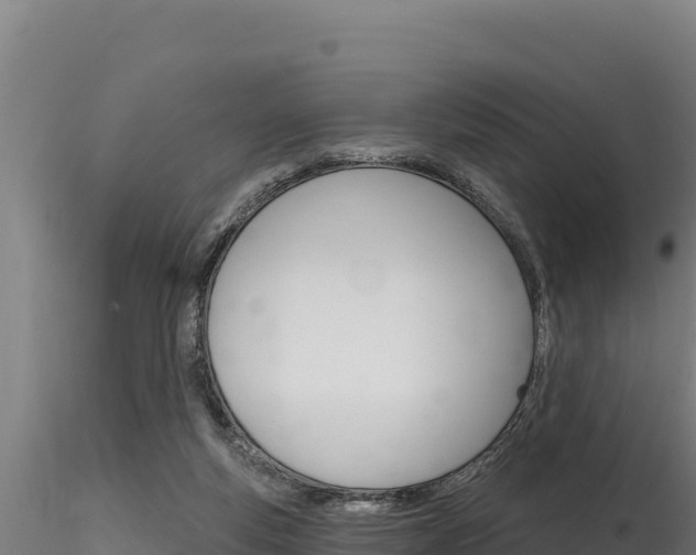 X0000116280163200911301048