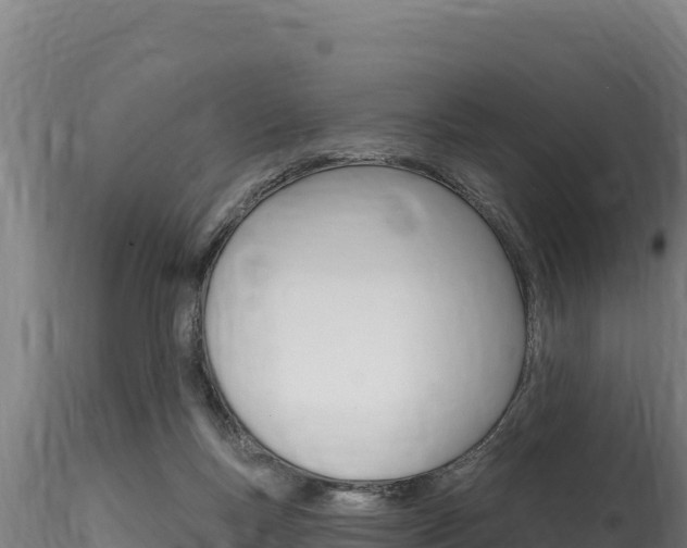 X0000116280167200911301049