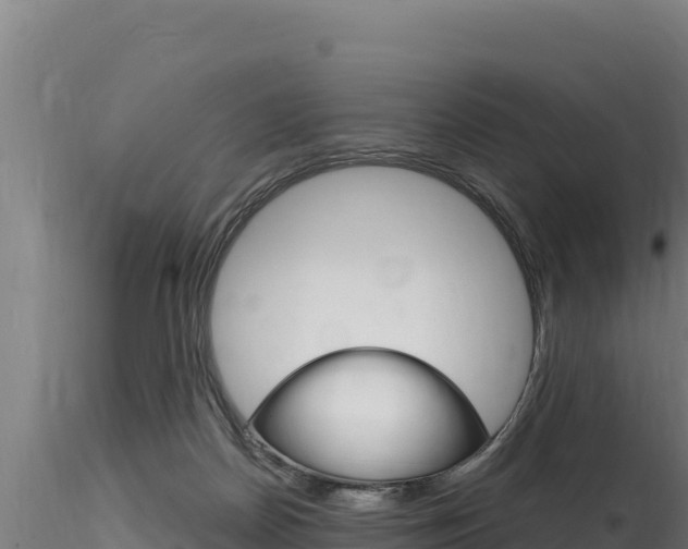 X0000116280170200911301049