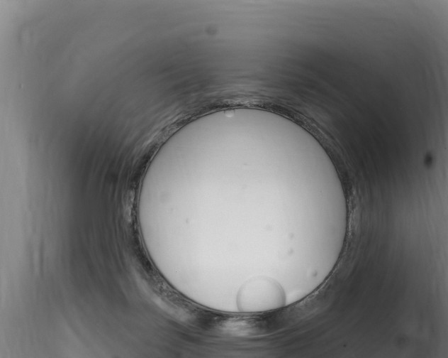 X0000116280171200911301049