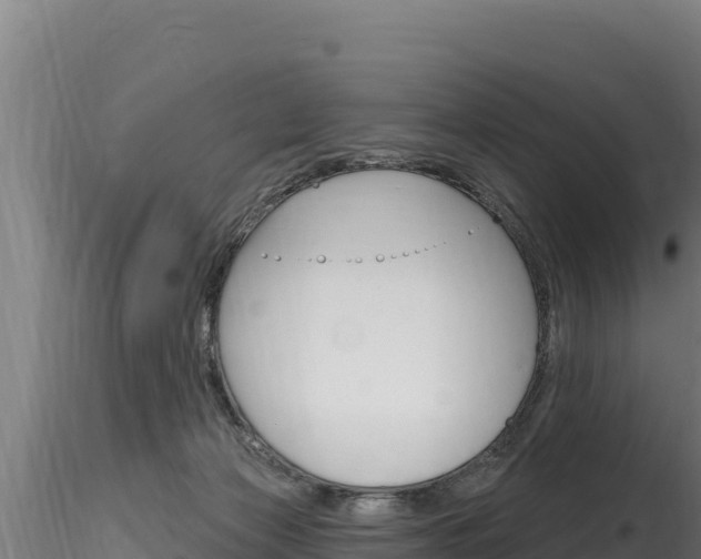 X0000116280173200911301049