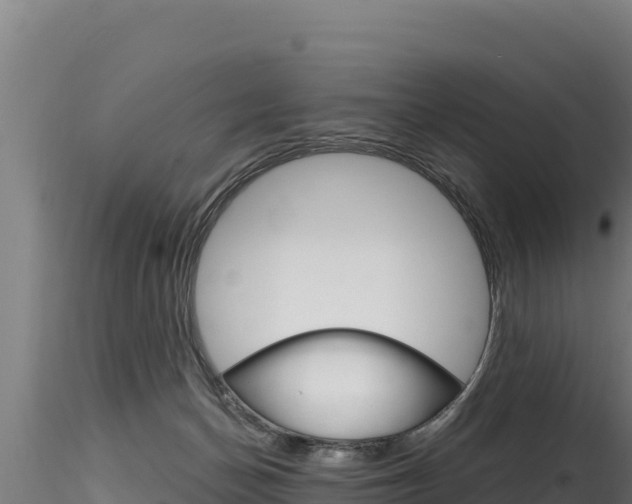 X0000116280174200911301049