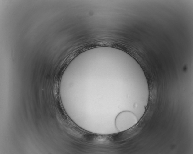X0000116280175200911301049