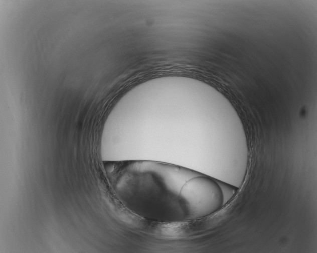 X0000116280178200911301049