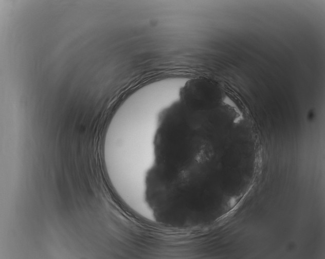 X0000116280179200911301049