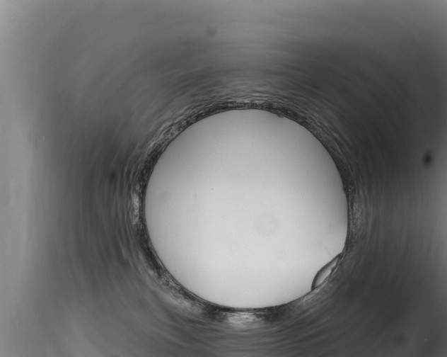 X0000116280183200911301049