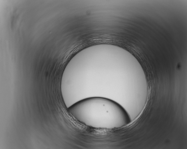 X0000116280190200911301049