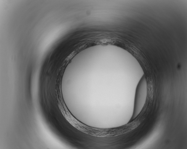 X0000116280191200911301049