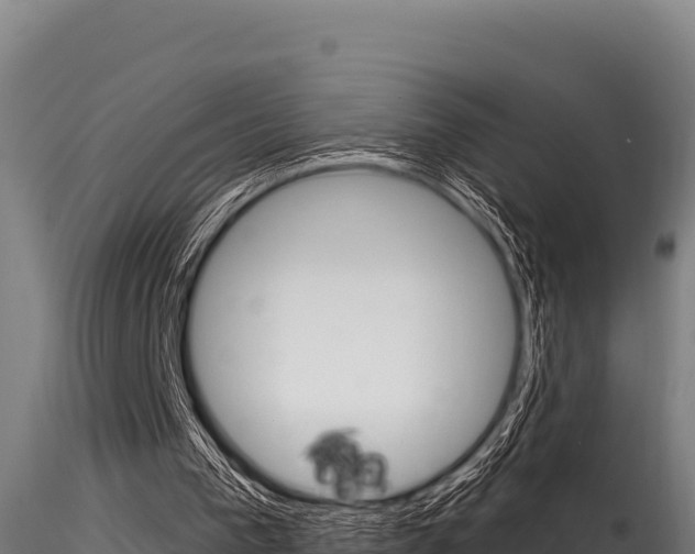 X0000116280193200911301048