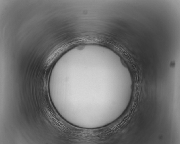 X0000116280194200911301048