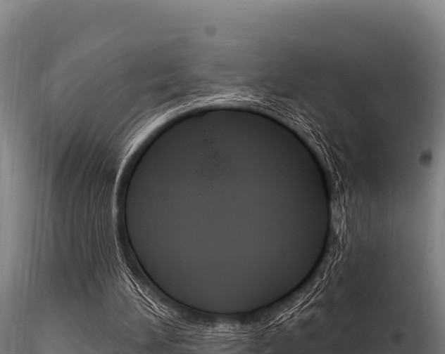 X0000116280196200911301048