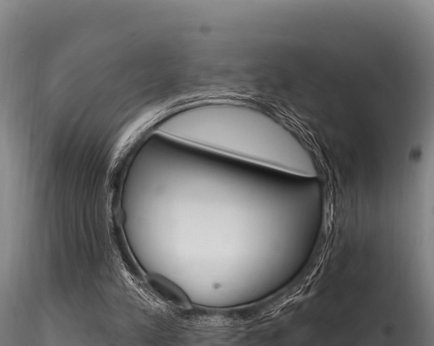 X0000116280197200911301048