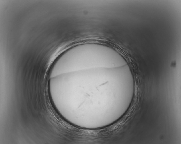 X0000116280198200911301048