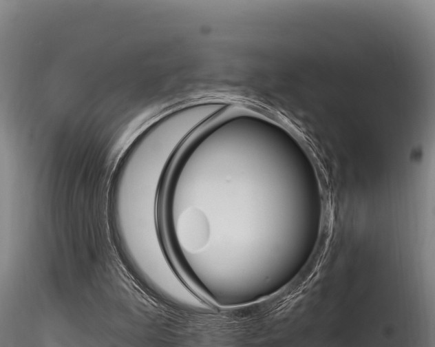 X0000116280199200911301048