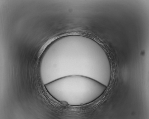 X0000116280200200911301048
