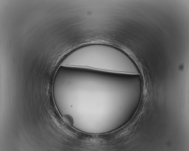 X0000116280201200911301048
