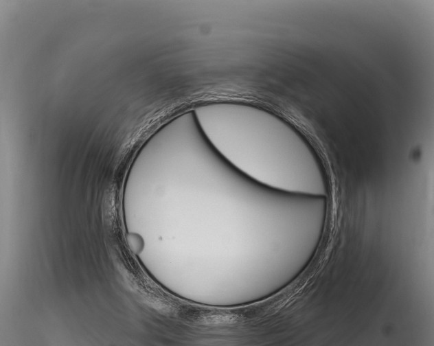 X0000116280202200911301048