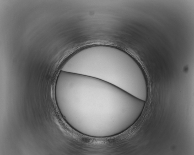 X0000116280205200911301048