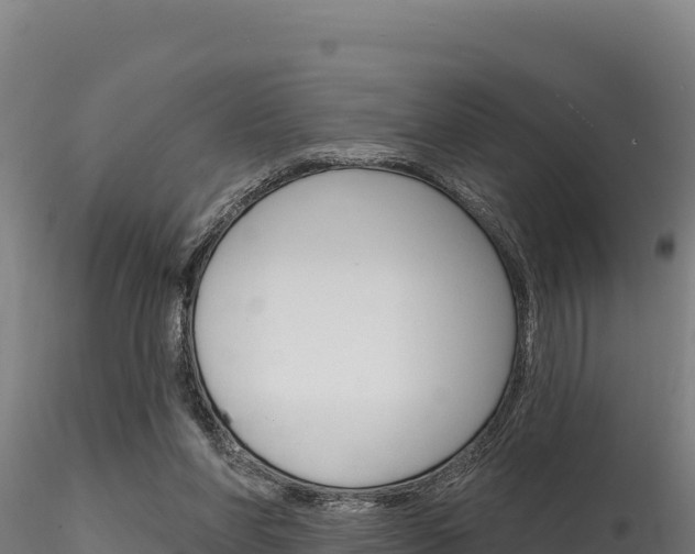 X0000116280206200911301048
