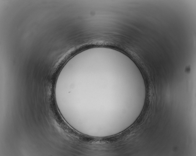 X0000116280208200911301048