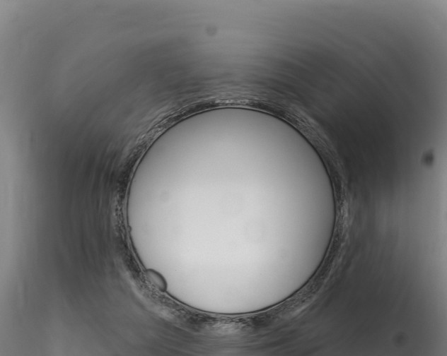 X0000116280209200911301048