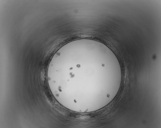 X0000116280210200911301048