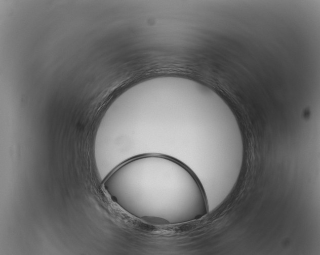 X0000116280211200911301048