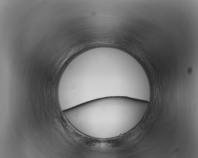 X0000116280212200911301048