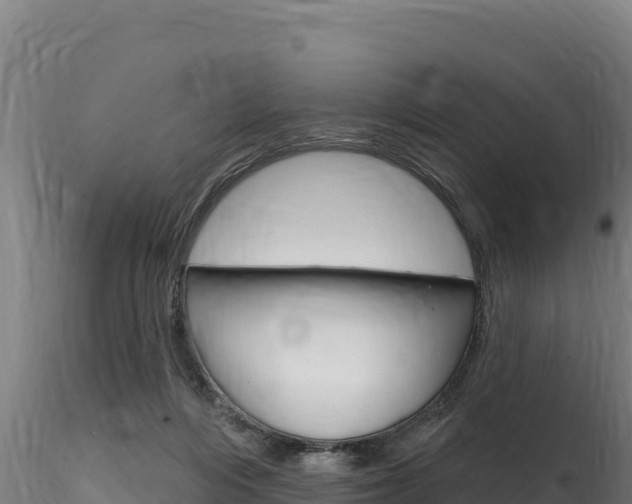X0000116280216200911301048