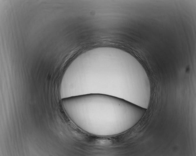 X0000116280220200911301048