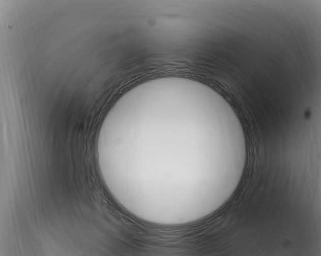 X0000116280221200911301048