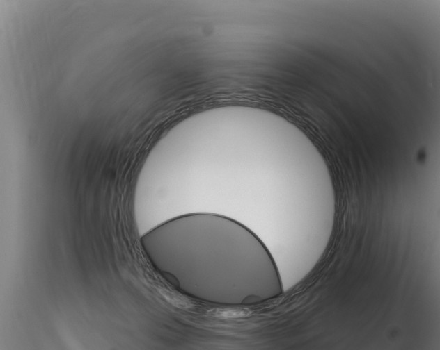 X0000116280223200911301048