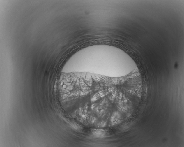 X0000116280226200911301048