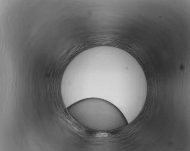 X0000116280227200911301048
