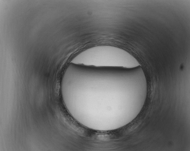 X0000116280228200911301048