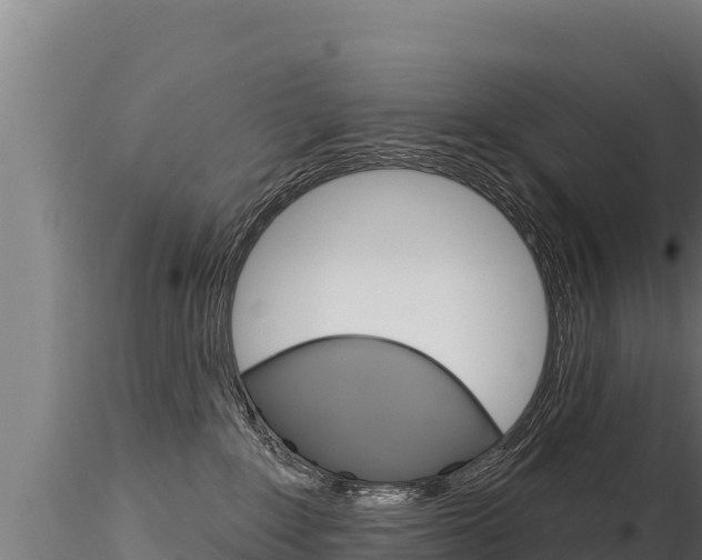 X0000116280235200911301048