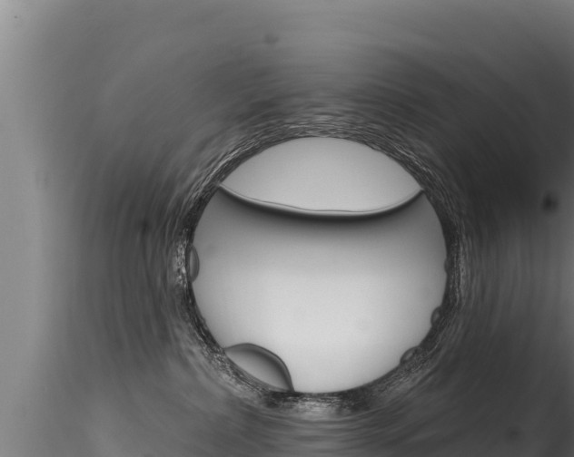 X0000116280236200911301048