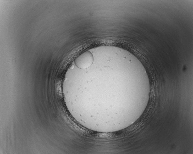 X0000116280238200911301048