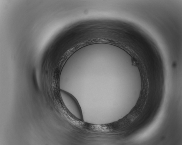 X0000116280239200911301048
