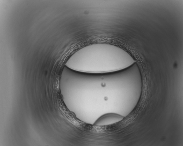 X0000116280240200911301048