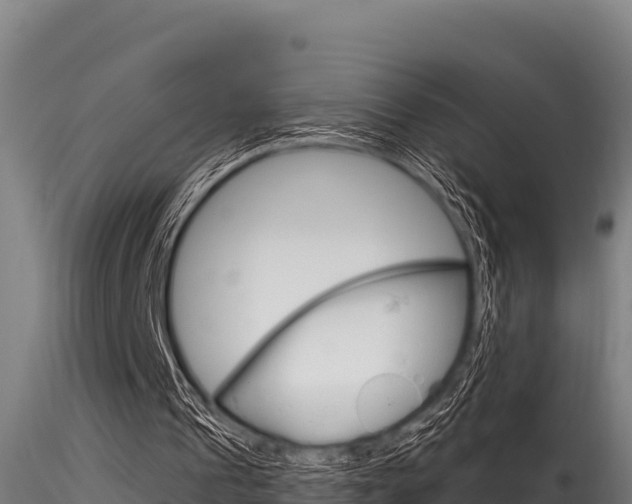 X0000116280241200911301047