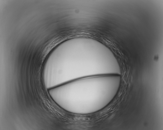 X0000116280242200911301047
