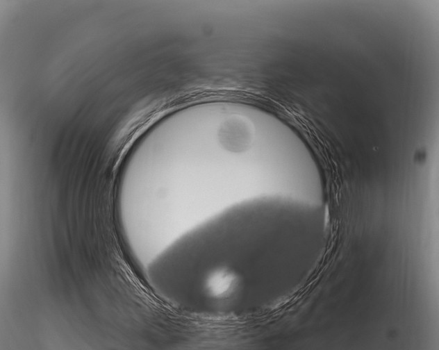 X0000116280243200911301047