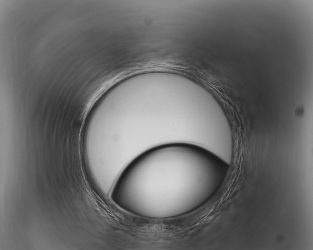X0000116280244200911301047