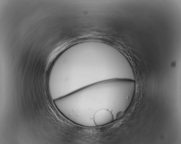 X0000116280245200911301047