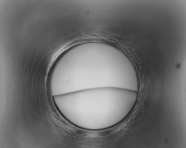 X0000116280246200911301047