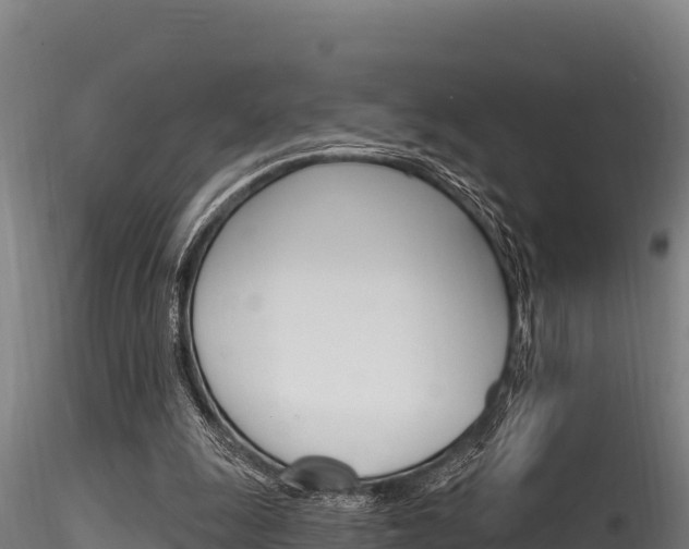 X0000116280247200911301047